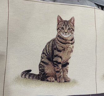 Istuva kissa Gobeliinikuva