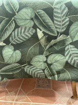 Palm