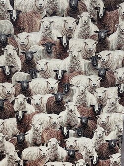 Lampaat Gobeliinikangas