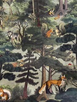 Metsän eläimet